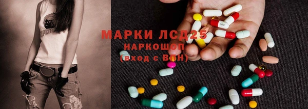 трава Новозыбков