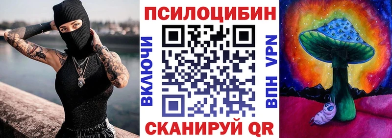 Купить  Карачаевск  Галлюциногенные грибы GOLDEN TEACHER 