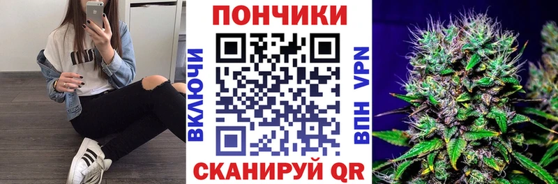 Купить закладки  Карачаевск  Бошки марихуана марихуана 